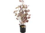 Kunstpflanze I.Ge.A. "Eukalyptus", Rot (Burgund), B:27Cm H:60Cm, Kunststoff, Polyester, Kunstpflanzen, Kunstpflanze, Im Topf, Mit Natursteinchen