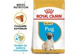 Royal Canin Carlin Chiot Croquettes Chien 1,5 Kg