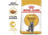 Royal Canin British Shorthair Adulte Croquettes Chat 2 Kg