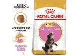 Royal Canin Maine Coon Chaton Croquettes Chat 10 Kg