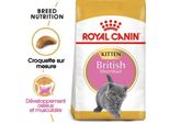 Royal Canin British Shorthair Chaton Croquettes Chat 2 Kg