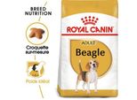 Royal Canin Beagle Adulte Croquettes Chien 12 Kg
