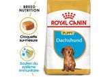 Royal Canin Teckel Chiot Croquettes Chien 1,5 Kg