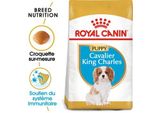 Royal Canin Cavalier King Charles Chiot Croquettes Chien 1,5 Kg