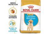 Royal Canin Labrador Retriever Chiot Croquettes Chien 3 Kg