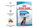 Royal Canin Maxi Chiot Croquettes Chien 15 Kg