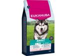 eukanuba Croquettes Pour Chien, Adulte, Grande Taille, Saumon 12 Kg