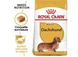 Royal Canin Teckel Adulte Croquettes Chien 7,5 Kg