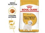 Royal Canin West Highland White Terrier Adulte Croquettes Chien 3 Kg
