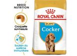 Royal Canin Cocker Chiot Croquettes Chien 3 Kg