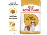 Royal Canin Cavalier King Charles Adulte Croquettes Chien 1,5 Kg