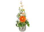 Kunstpflanze I.Ge.A., Orange, B:16Cm H:40Cm T:16Cm, Kunststoff, Kunstpflanzen, Kunstpflanze