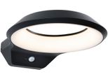 LED AußEn-Wandleuchte Paulmann "Anela 230V Anthrazit IP44", Grau (Anthrazit), B:24,5Cm H:7,1Cm T:30,9Cm, Leuchten