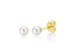Paar Ohrstecker Firetti "Schmuck Geschenk Gold 375 Ohrschmuck Perle Verschiedene GrößEn" Gr. 5, Gold (Gelbgoldfarben, Weiß), Ohrringe, Damen, 5, Gelbgold 375 Perlen, Gelbgold 375, Perlen, Made In Germany - Mit SüßWasserzuchtperle