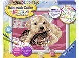 Malen Nach Zahlen Ravensburger "Beste Freunde", Bunt, Malvorlagen, Kinderb:18Cm H:13Cm, Made In Europe, B:18Cm H:13Cm