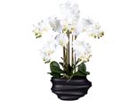 Kunstorchidee Creativ green "Phalaenopsis", Weiß, H:75Cm, Kunststoff, Kunstpflanzen, In Design-Kunststoffvase