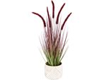 Kunstpflanze I.Ge.A. "Fuchsschwanzgras", Rot, B:22Cm H:67Cm L:22Cm, Kunstpflanzen, Kunstpflanze, Mit ÜBertopf Kunstgras Deko Borstenhirse Panicoideae Setaria
