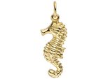 KettenanhäNger Jobo "AnhäNger Seepferdchen", Gold (Gelbgold 333), SchmuckanhäNger, Damen, Gelbgold 333, KettenanhäNger, 333 Gold