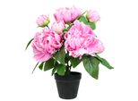 Kunstpflanze I.Ge.A. "KüNstlicher PäOnienbusch Im Topf", Pink (Rosa), B:31Cm H:40Cm T:25Cm, Polyester, Kunstpflanzen, Kunstpflanze, 40Cm Pfingstrose PäOnie Dekoblumen Kunstblume Deko Hochzeit