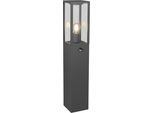 AußEn-Stehlampe Trio Leuchten "Garonne, Outdoor Wegeleuchte Mit Bewegungsmelder IP44, 80Cm Hoch", Grau (Anthrazit, Transparent), B:14Cm H:80Cm T:15,5Cm, Leuchten, Exkl 1X E27 Max 60W, Stehleuchte FüR Garten & Terrasse Aus Metall