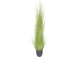 Kunstgras BOTANIC-HAUS "Gras Festuca", GrüN, B:55Cm H:150Cm T:55Cm Ø:55Cm, Kunststoff, Kunstpflanzen