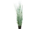 Kunstgras Creativ green "Grasbusch Cortaderia", GrüN, H:175Cm, Kunststoff, Kunstpflanzen, In Opulenter GrößE