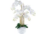 Kunstorchidee Creativ green "Orchidee Phalaenopsis", Weiß, H:90Cm, Kunststoff, Kunstpflanzen, Im Design-Topf