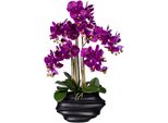 Kunstorchidee Creativ green "Phalaenopsis", Lila, H:75Cm, Kunststoff, Kunstpflanzen, In Design-Kunststoffvase