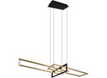 Trio Leuchten LED Pendelleuchte "Alica", Grau (Messingfarben), 1, H: 150Cm, 1 Stk., Leuchten, Mit Switch Dimmer, üBer Wandschalter Dimmbar, AbhäNgung 150 Cm, LED Pendelleuchte