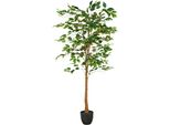 Kunstbaum Creativ green "Ficus Benjamina", GrüN (HellgrüN), H:150Cm, Kunststoff, Kunstpflanzen, Mit Naturgetreuem Blattwerk Und Stamm
