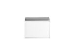 sobuy Schuhbank Mit 1 TüR Weiß 62X25X46Cm Funktional