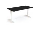 Stier Elektrisch HöHenverstellbarer Schreibtisch 501-20 160 X 80Cm Schwarz/Weiß (907745)