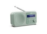 Sharp DR-P420 Tokyo Dab+ Digitalradio Bluetooth Lautsprecher UKW DAB Wecker Dual-Alarm GrüN
