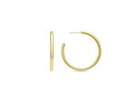 Luxenter Ohrringe Mit 18K Gold-Finish - Polur