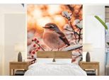 Winterdienst Vogel-Tak-Behang, 190 cm x 260 cm, weiß