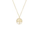 Luxenter Halskette Mit GläNzendem Zirkonia 18K Gold - Gorbou