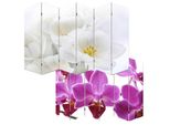 Foto-Paravent Paravent Raumteiler Spanische Wand Bagheria Mvg-Zertifiziert ~ 180X240Cm, Orchidee