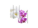 Foto-Paravent Paravent Raumteiler Spanische Wand Bagheria ~ 180X120Cm, Orchidee