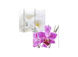 Foto-Paravent Paravent Raumteiler Spanische Wand Bagheria ~ 180X200Cm, Orchidee