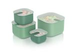arendo Frischhaltedose, Mit Deckel, 4Er Set, Vorratsdosen, Lunchboxen, Auslaufsicher, MintgrüN