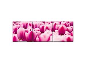 Bilderdepot24 Leinwandbild Pinke Tulpen