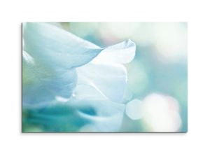 Sinus Art Leinwandbild Künstlerische Fotografie – Weiße zarte Blütenblätter auf Leinwand