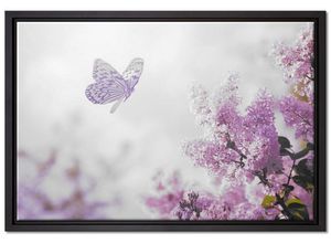 Pixxprint Leinwandbild Schmetterling Kirschblüten