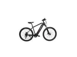 Maxtron E-Mountainbike MT-15X