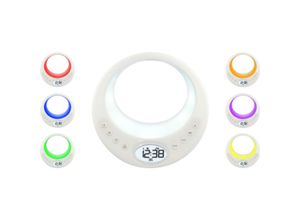 TechnoLine WT 489 - Wake-Up Light