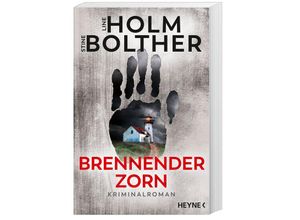 Brennender Zorn / Maria Just Bd.2 - Line Holm, Stine Bolther, Taschenbuch