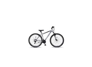 ALTEC Mountainbike 29 Zoll Umit 4 MOTION, silber