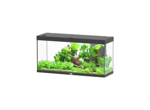 Aquatlantis Splendid Aquarium, Fassungsvermögen: 240 Liter