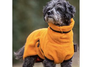 ActionFactory fit4dogs Dryup Mini Trockenmantel für Hunde, Rückenlänge 30 cm, orange