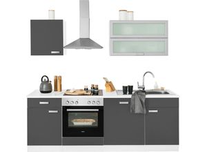 wiho Küchen Küchenzeile Husum, mit E-Geräten, Breite 220 cm, grau|weiß